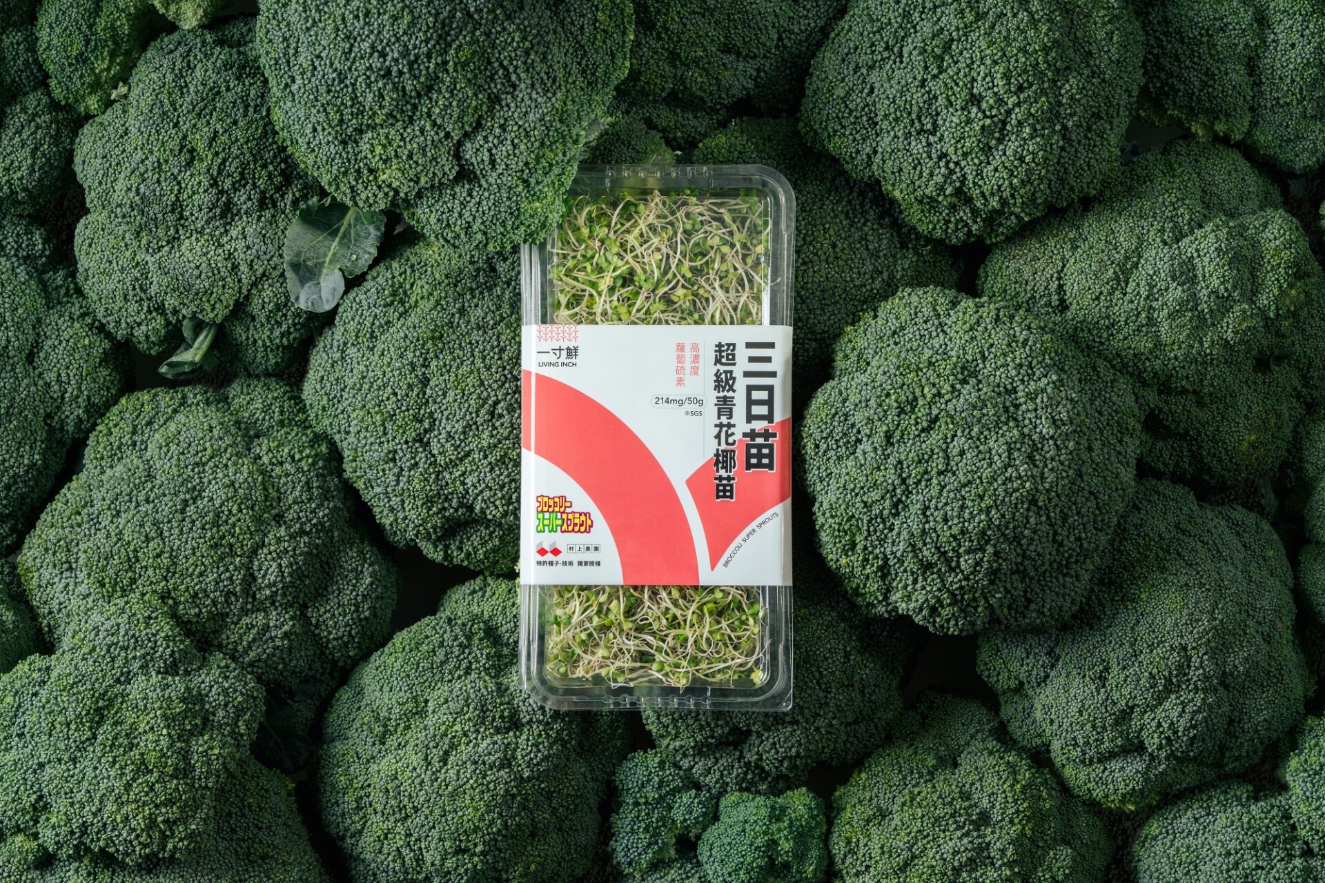 圖二：綠藤推出高營養蔬菜品牌「一寸鮮」-跨日打造「三日苗-超級青花椰苗」-打造由內而外-72-小時長效好氣色。綠藤生機提供